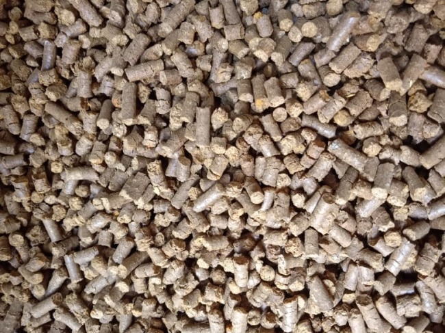 Biofuel Pellet